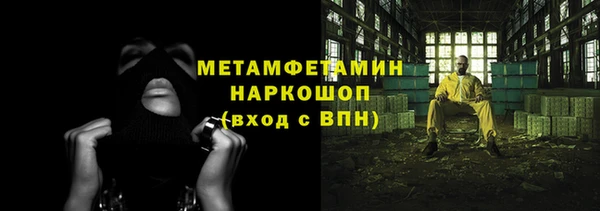 гидра Надым