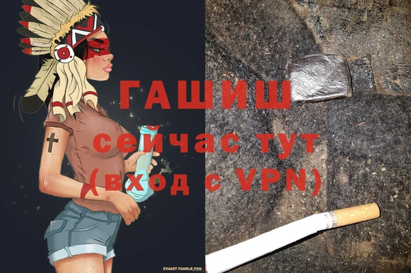 гидра Надым