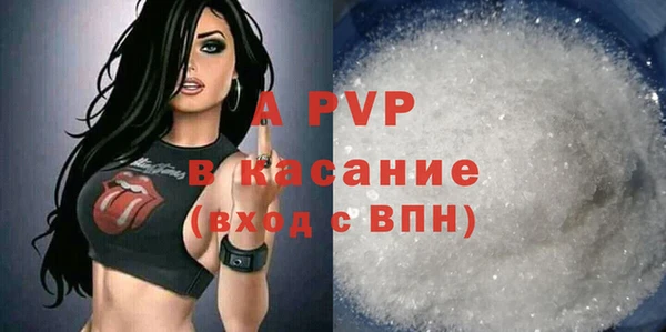 СК Михайлов
